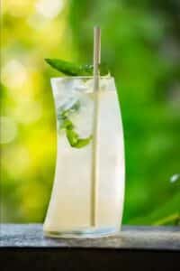 Kokomo Fresco y floral